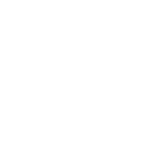 Icone Barack Obama